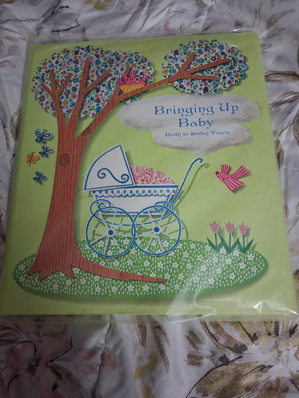 Vintage '63 and 63 Year Old Baby Book